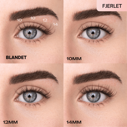 Lashelle™ | Smukke salonvipper på 2 minutter – helt uden lim