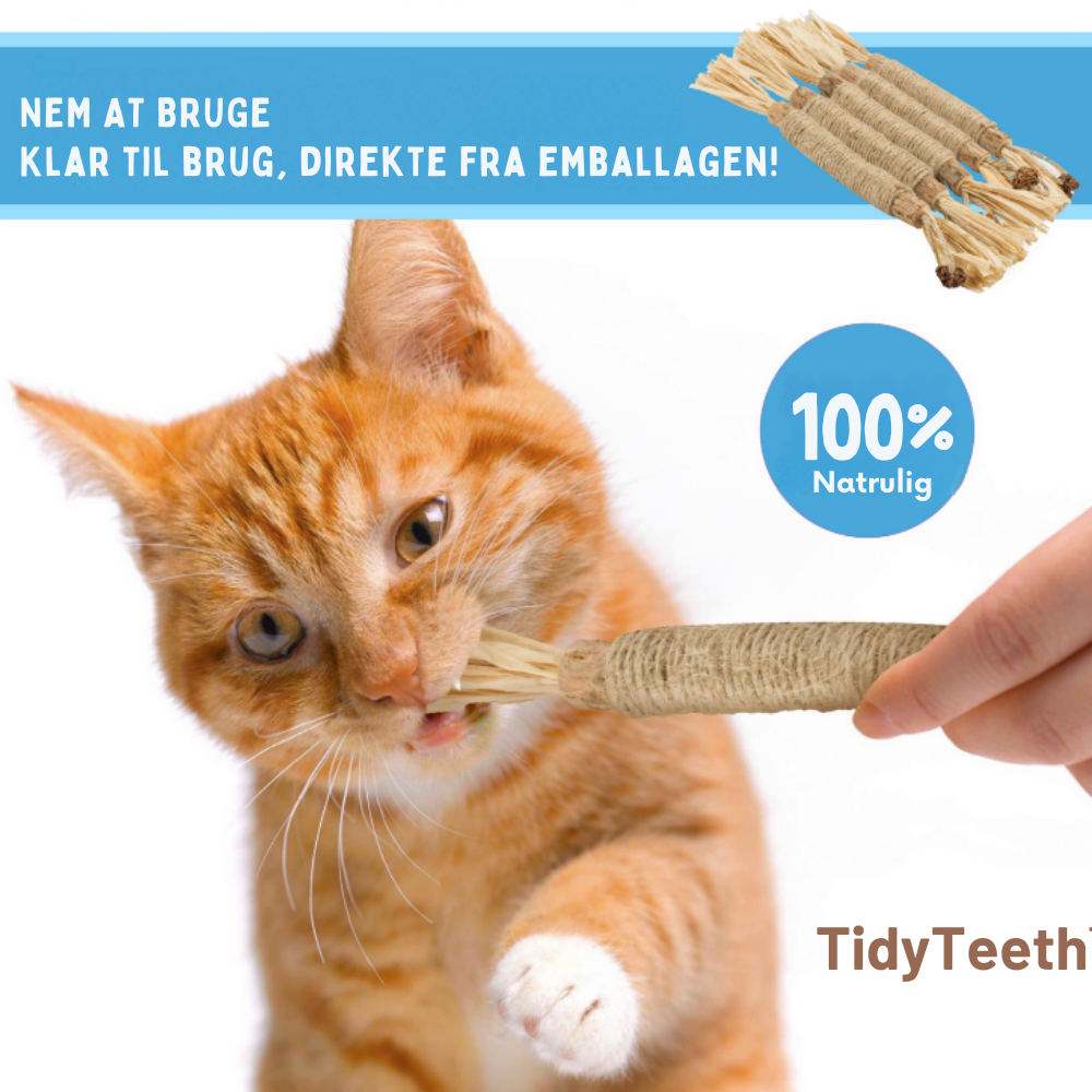 TidyTeeth™ | Naturlig Silvervine Stick tyggelegetøj til katte
