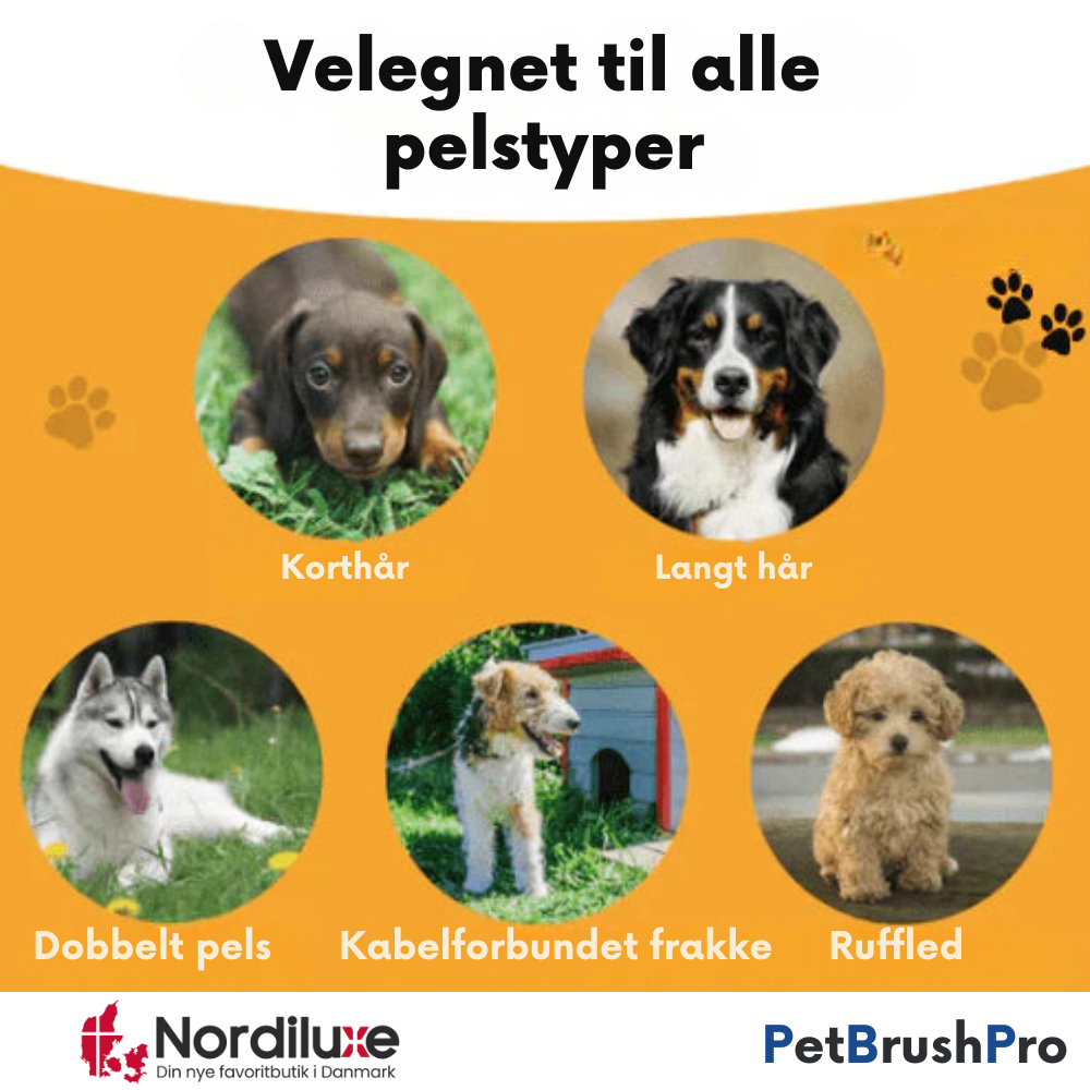 PetBrush™ Pro | Den ultimative hundebørste mod fældning og lopper