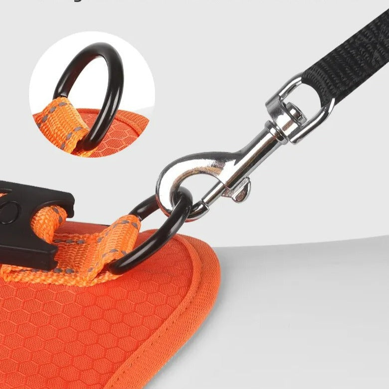 WalkEase™ | Gør gåture rolige og behagelige igen