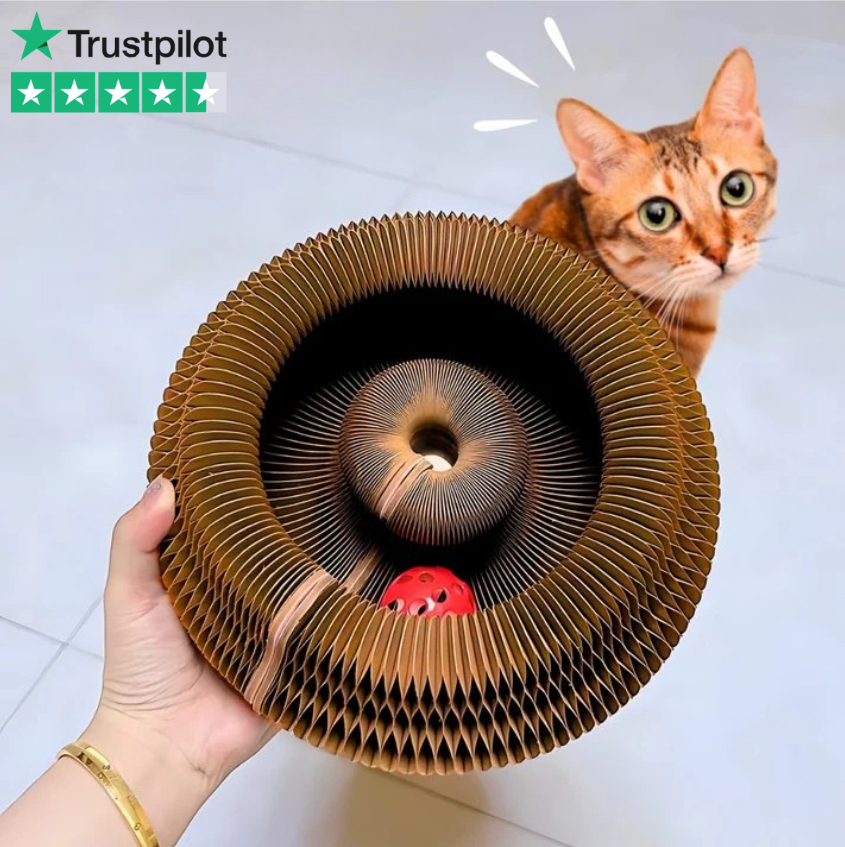 KittyCurl™ | Timevis af sjov for din kat!