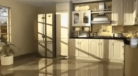 PestReject™ | Slip for skadedyr i hjemmet – helt uden gift eller fælder