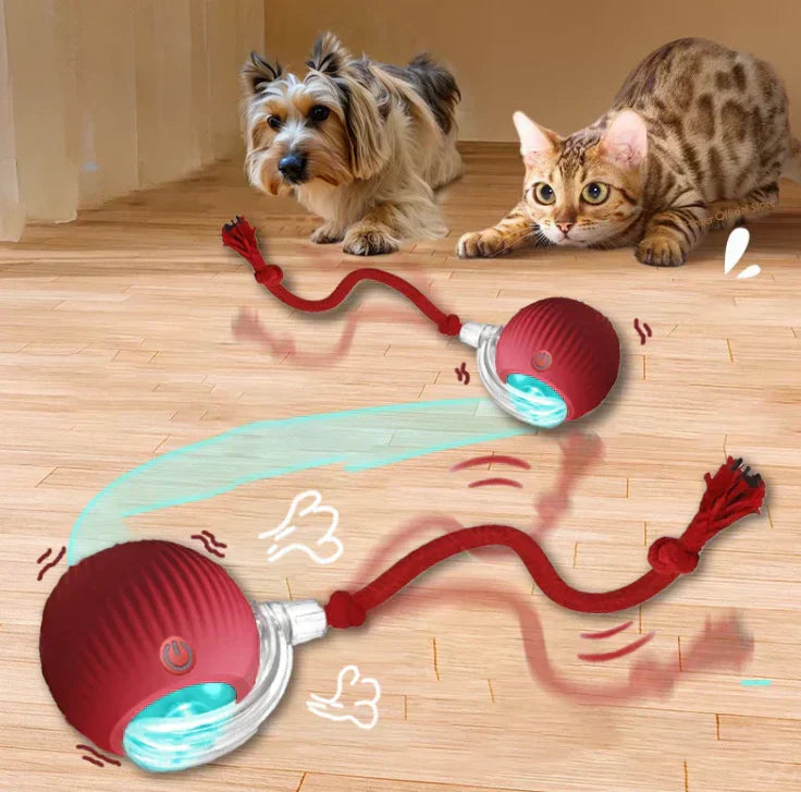 PurrPlay Ball™ | Stop kedsomhed og ødelagt inventar hos din kat