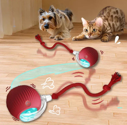 PurrPlay Ball™ | Stop kedsomhed og ødelagt inventar hos din kat