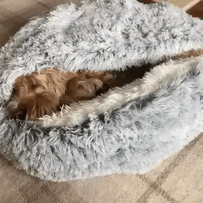 CozyCave™ | Den velkendte seng til kat og hund